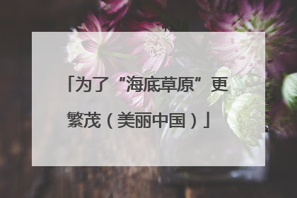 为了“海底草原”更繁茂（美丽中国）