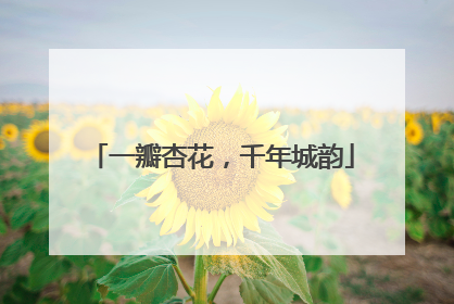 一瓣杏花，千年城韵