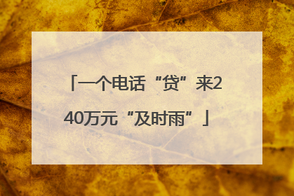 一个电话“贷”来240万元“及时雨”