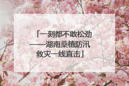 一刻都不敢松劲——湖南桑植防汛救灾一线直击