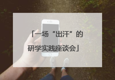 一场“出汗”的研学实践座谈会