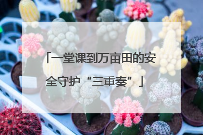 一堂课到万亩田的安全守护“三重奏”
