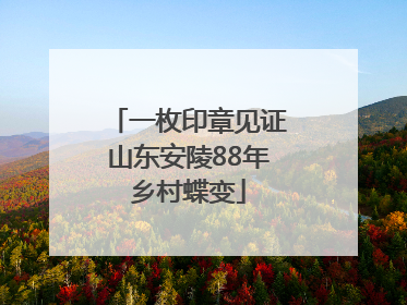 一枚印章见证山东安陵88年乡村蝶变