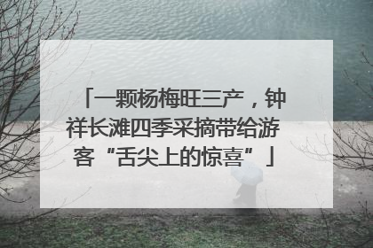 一颗杨梅旺三产，钟祥长滩四季采摘带给游客“舌尖上的惊喜”