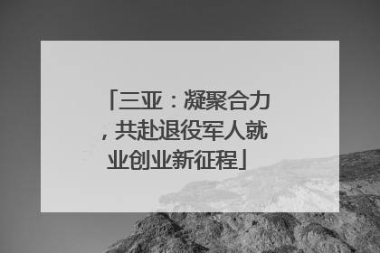 三亚：凝聚合力，共赴退役军人就业创业新征程