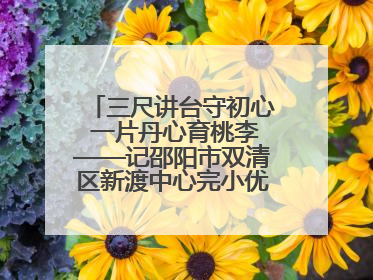 三尺讲台守初心 一片丹心育桃李——记邵阳市双清区新渡中心完小优秀教师姚丹