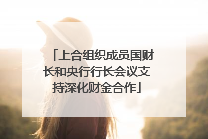 上合组织成员国财长和央行行长会议支持深化财金合作