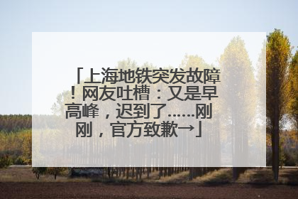 上海地铁突发故障！网友吐槽：又是早高峰，迟到了……刚刚，官方致歉→