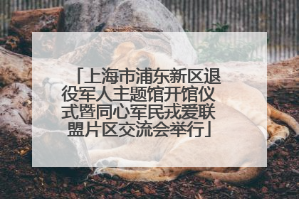 上海市浦东新区退役军人主题馆开馆仪式暨同心军民戎爱联盟片区交流会举行