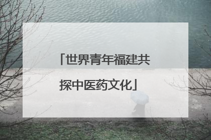 世界青年福建共探中医药文化