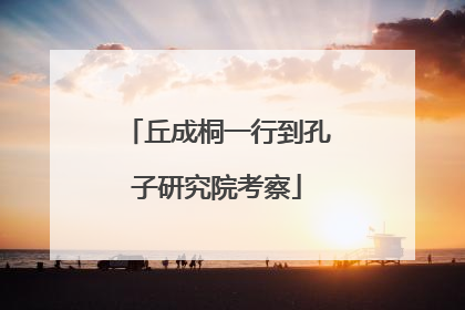 丘成桐一行到孔子研究院考察