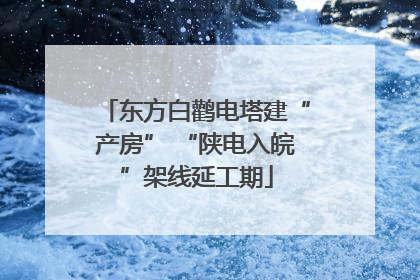 东方白鹳电塔建“产房” “陕电入皖”架线延工期