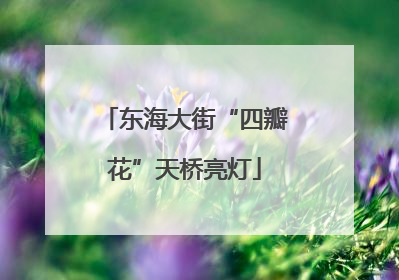 东海大街“四瓣花”天桥亮灯