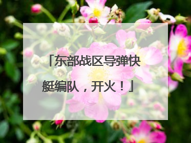 东部战区导弹快艇编队，开火！