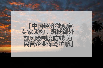 中国经济微观察·专家谈构：筑抵御外部风险制度防线 为民营企业保驾护航