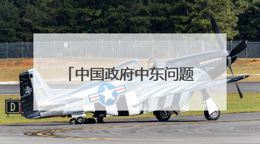 中国政府中东问题特使翟隽访问埃及