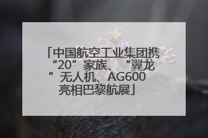 中国航空工业集团携“20”家族、“翼龙”无人机、AG600亮相巴黎航展