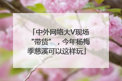 中外网络大V现场“带货”，今年杨梅季慈溪可以这样玩