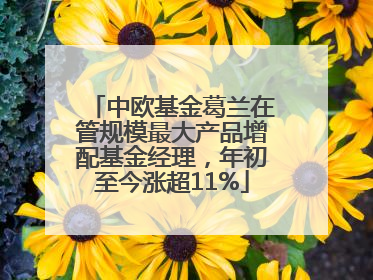 中欧基金葛兰在管规模最大产品增配基金经理，年初至今涨超11%