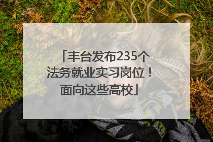 丰台发布235个法务就业实习岗位！面向这些高校
