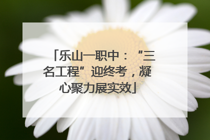 乐山一职中：“三名工程”迎终考，凝心聚力展实效