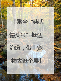 乘坐“柴犬馒头号”抵达治愈，带上宠物去逛个展