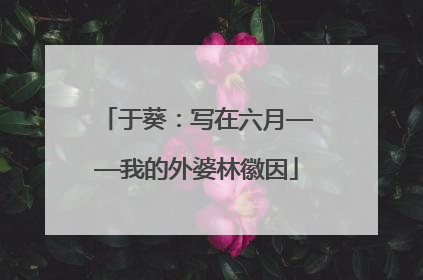 于葵：写在六月——我的外婆林徽因