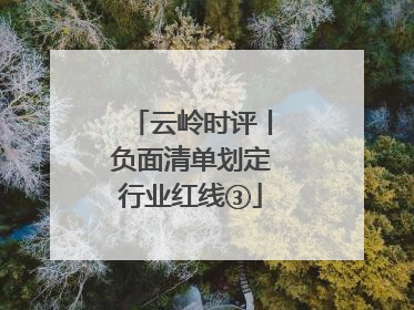 云岭时评丨负面清单划定行业红线③