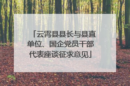 云霄县县长与县直单位、国企党员干部代表座谈征求意见