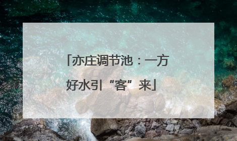 亦庄调节池：一方好水引“客”来