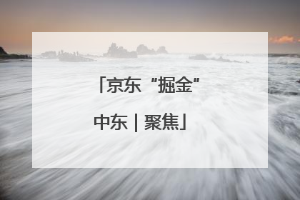 京东“掘金”中东｜聚焦