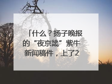 什么？扬子晚报的“夜京畿”紫牛新闻稿件，上了2025年镇江中考模拟卷！