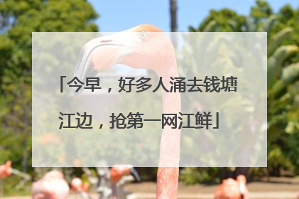 今早，好多人涌去钱塘江边，抢第一网江鲜