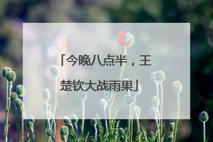 今晚八点半，王楚钦大战雨果