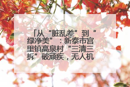 从“脏乱差”到“绿净美”：新泰市宫里镇高泉村“三清三拆”破顽疾，无人机“天眼”护新颜