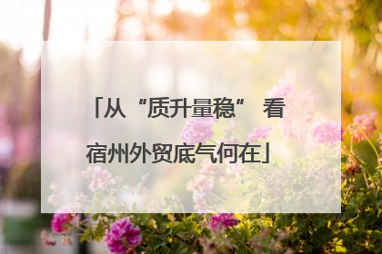 从“质升量稳” 看宿州外贸底气何在
