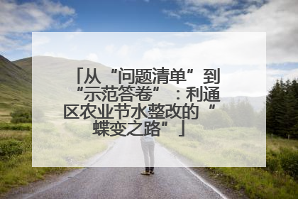 从“问题清单”到“示范答卷”：利通区农业节水整改的“蝶变之路”