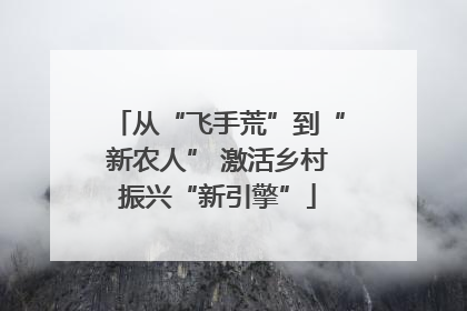 从“飞手荒”到“新农人” 激活乡村振兴“新引擎”
