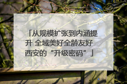 从规模扩张到内涵提升 全域美好全龄友好西安的“升级密码”