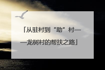 从驻村到“助”村——龙树村的帮扶之路