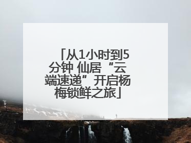 从1小时到5分钟 仙居“云端速递”开启杨梅锁鲜之旅