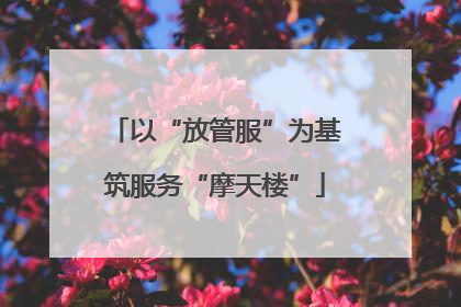以“放管服”为基筑服务“摩天楼”