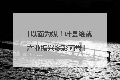 以面为媒！叶县绘就产业振兴多彩画卷