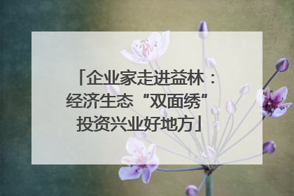 企业家走进益林：经济生态“双面绣” 投资兴业好地方
