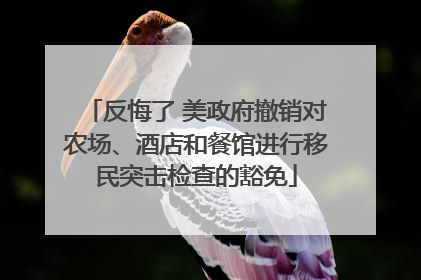 反悔了 美政府撤销对农场、酒店和餐馆进行移民突击检查的豁免