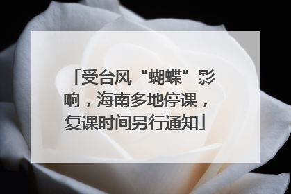 受台风“蝴蝶”影响，海南多地停课，复课时间另行通知