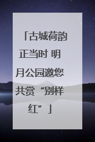 古城荷韵正当时 明月公园邀您共赏“别样红”