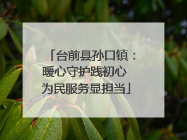 台前县孙口镇：暖心守护践初心 为民服务显担当