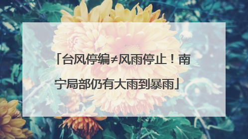 台风停编≠风雨停止！南宁局部仍有大雨到暴雨