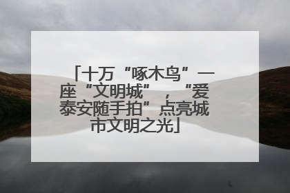 十万“啄木鸟”一座“文明城”，“爱泰安随手拍”点亮城市文明之光